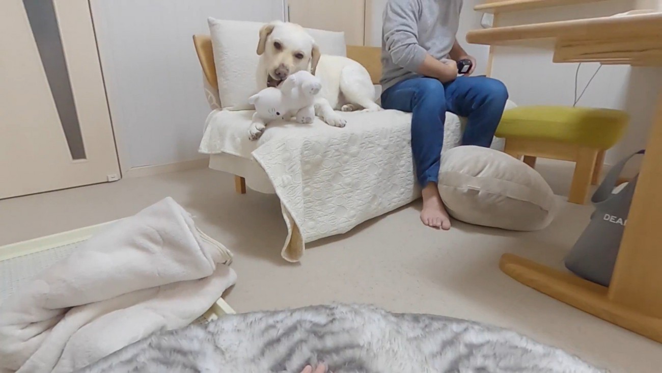 パパさんの隣でまったり♪