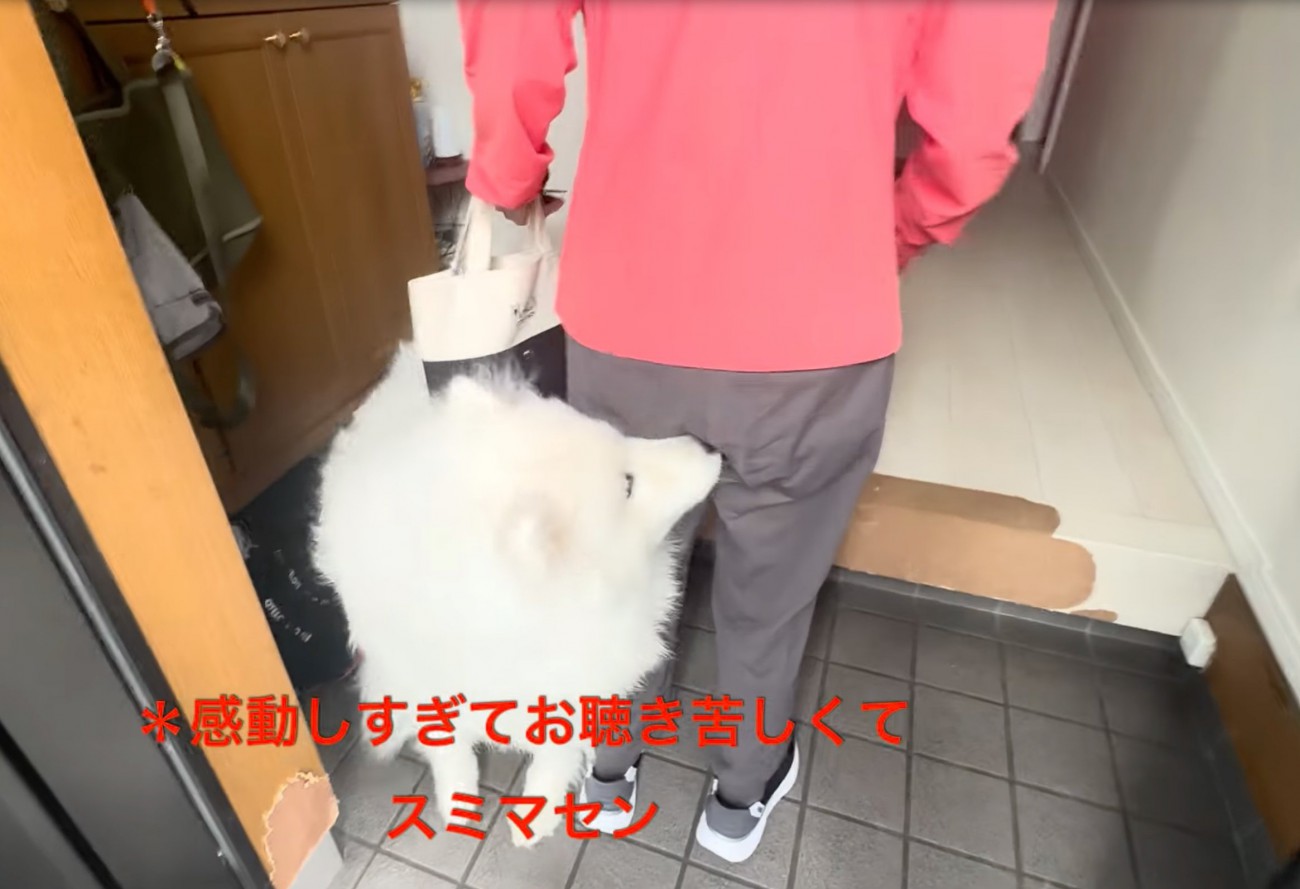 すり寄るセブンちゃん