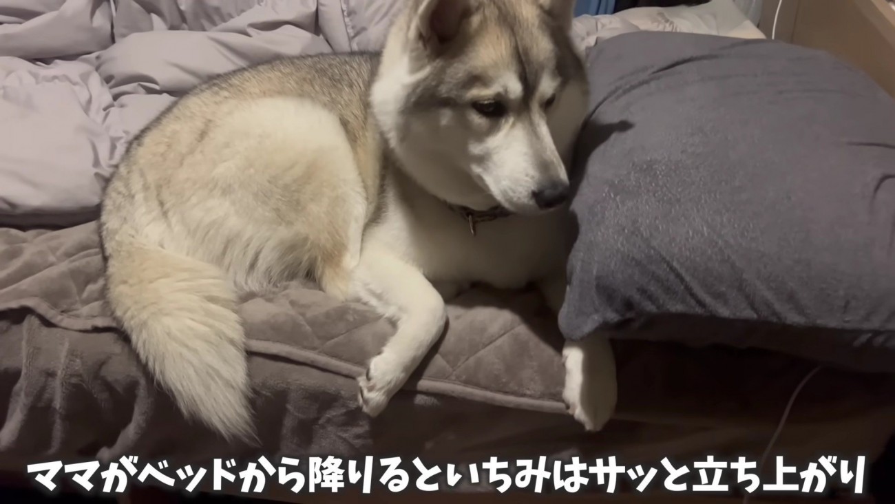 夜中の授乳のお付き合い