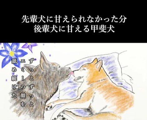 甘えん坊なハルヱちゃんの過去と現在6