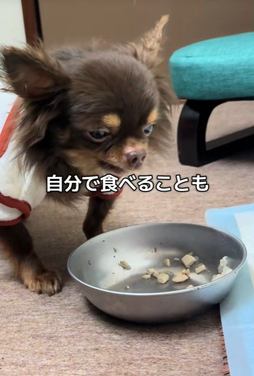 テープくんの変化8