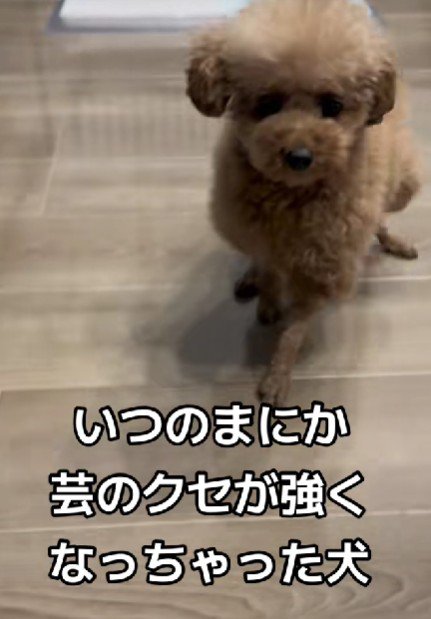 高速バックして…