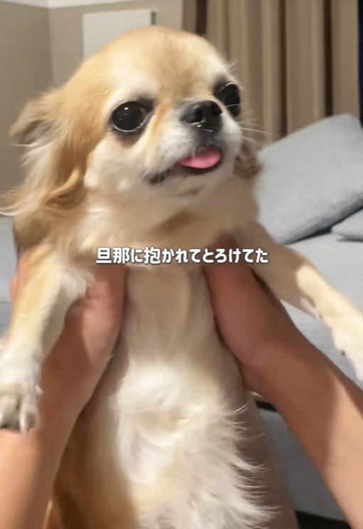 シアルちゃんを迎えた日8