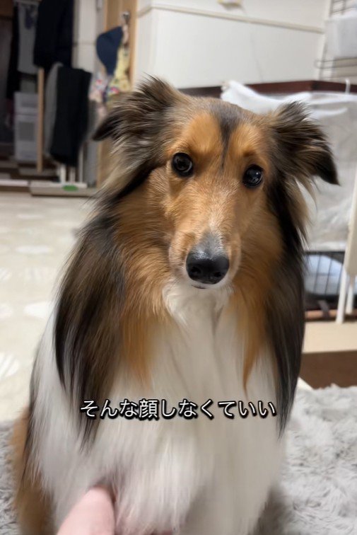 「許してあげる」とナデナデ♪