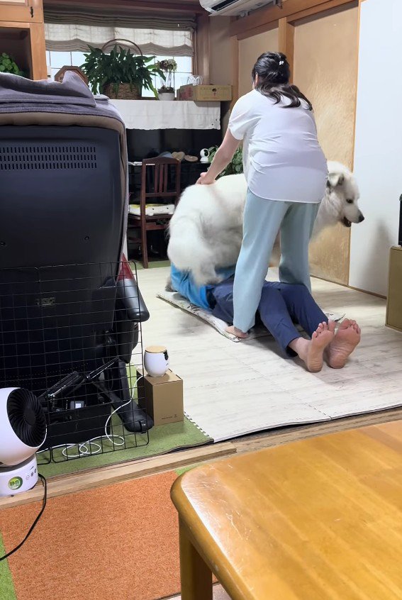 ドレミちゃんが2人の間に！！