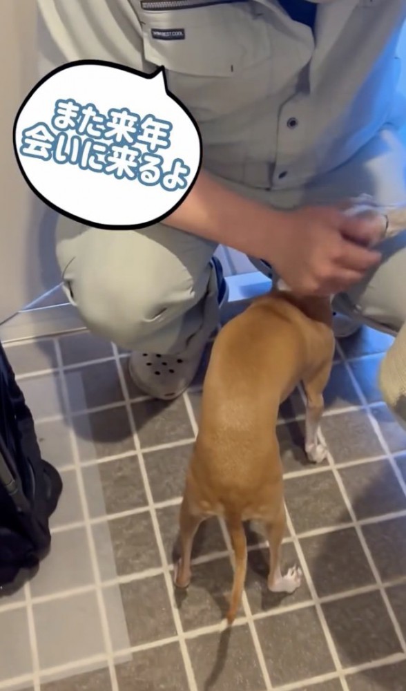 来年も会おうね