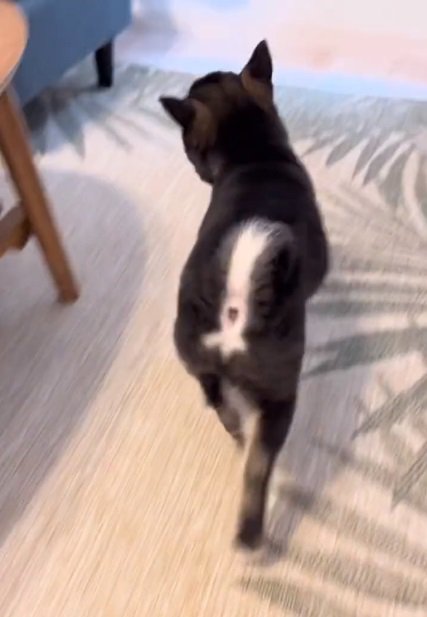 楽しそうなもずくくん