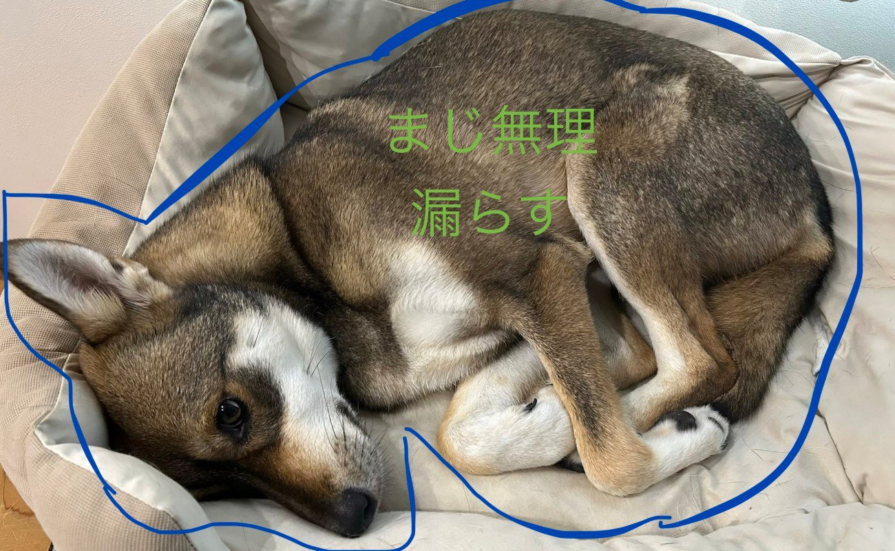 「まじで無理」