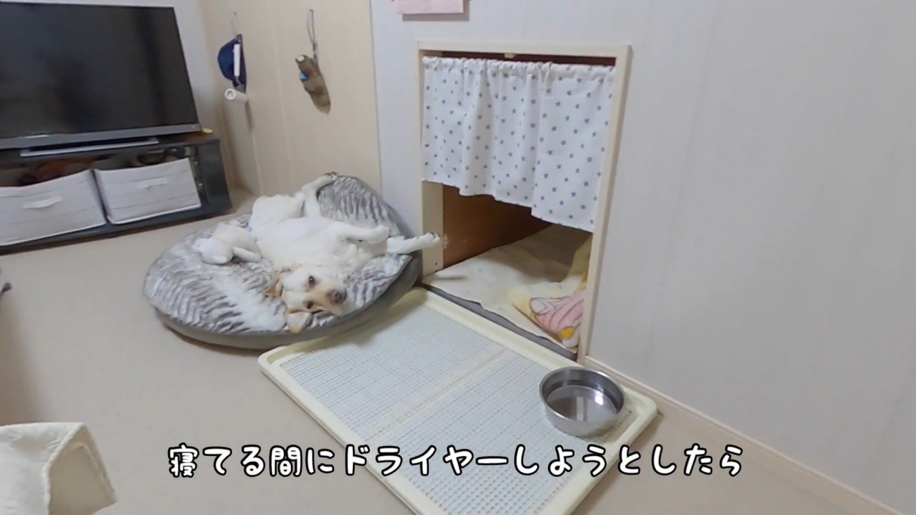 寝ている間に部屋から出たら…