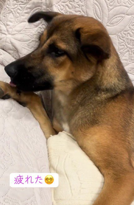 「あ～疲れた」