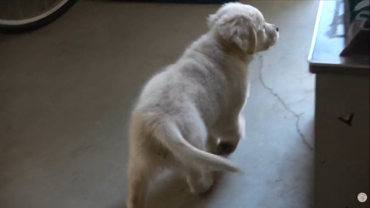 再び投稿者さんを探し始めました