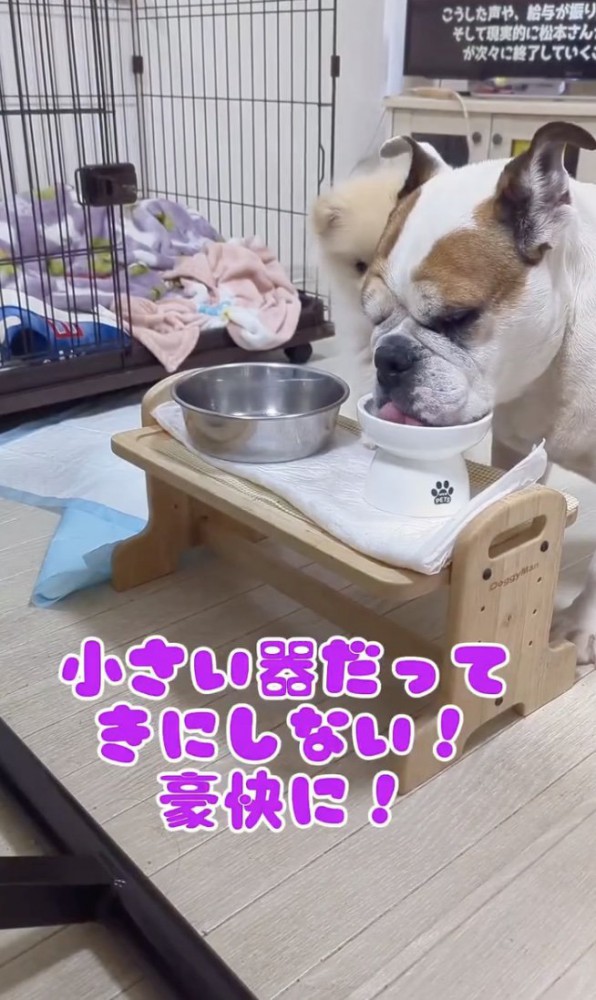 「とにかく豪快にっ」