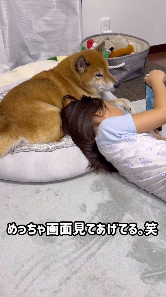 女の子が持っているゲーム機を見つめる犬
