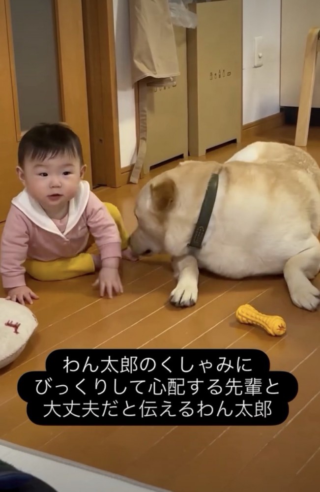 赤ちゃんにそっとお返事