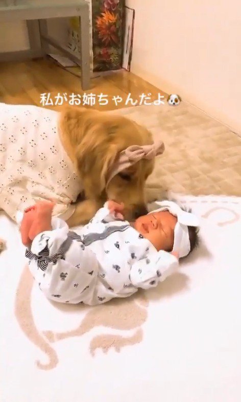 くららちゃんと赤ちゃん3