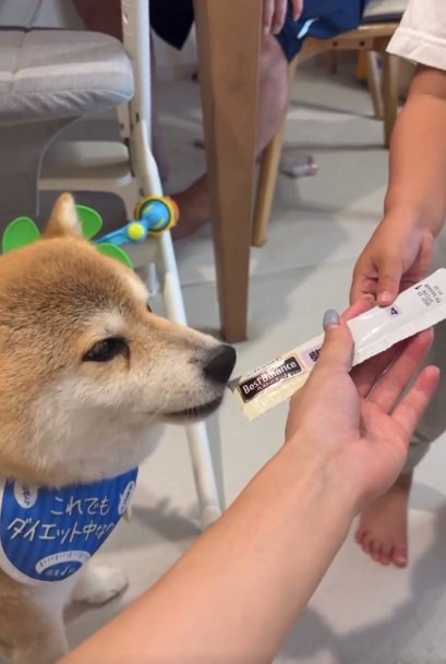 おやつをあげる姪っ子ちゃん