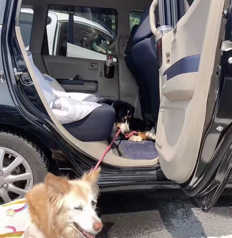 盛大に巻き添え