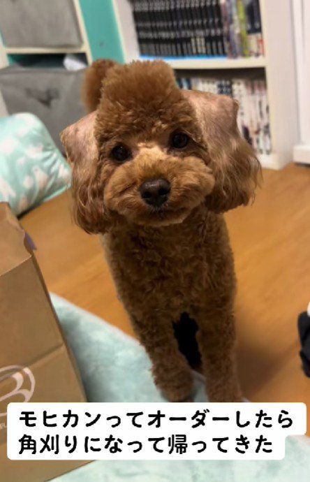 「モヒカン」をオーダー