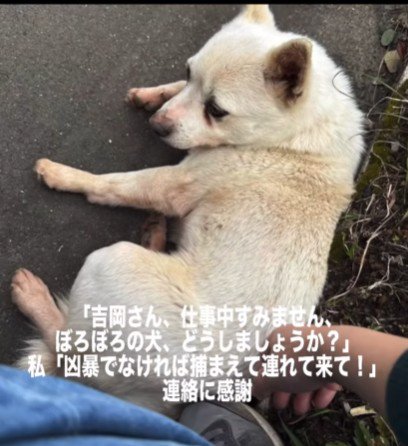 発見したのは福岡から来た親子