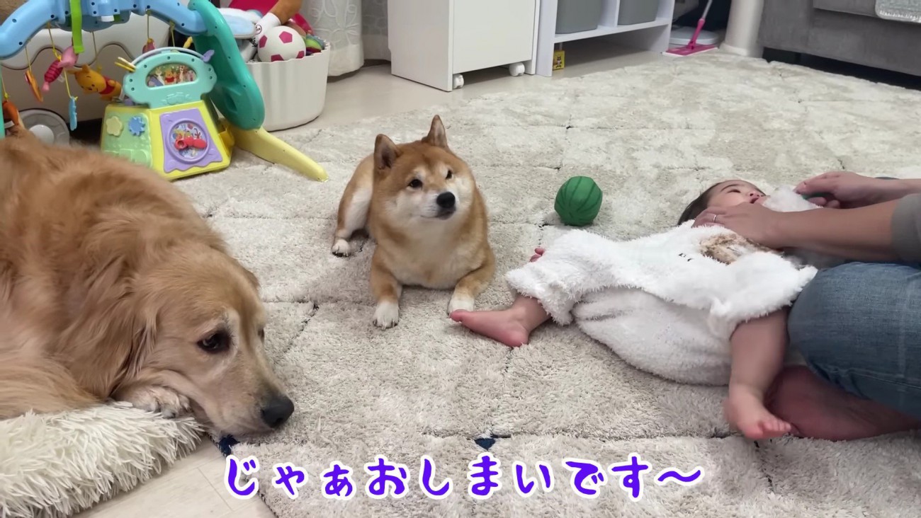 ほのちゃんは完了！！