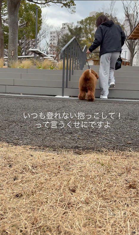 外の階段を登る時は…