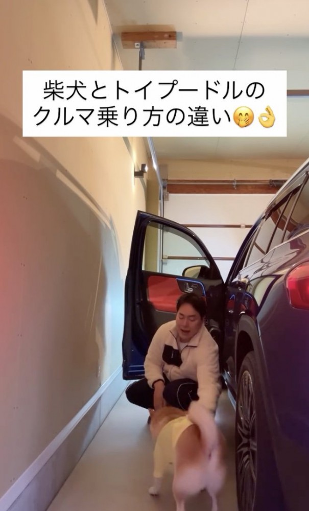 やりとりを楽しんでる…？