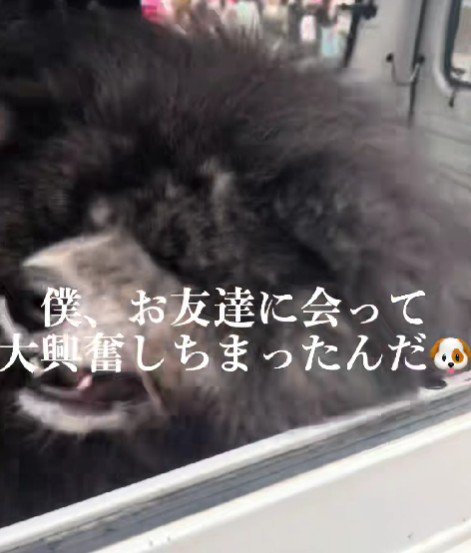 助手席でグルグル
