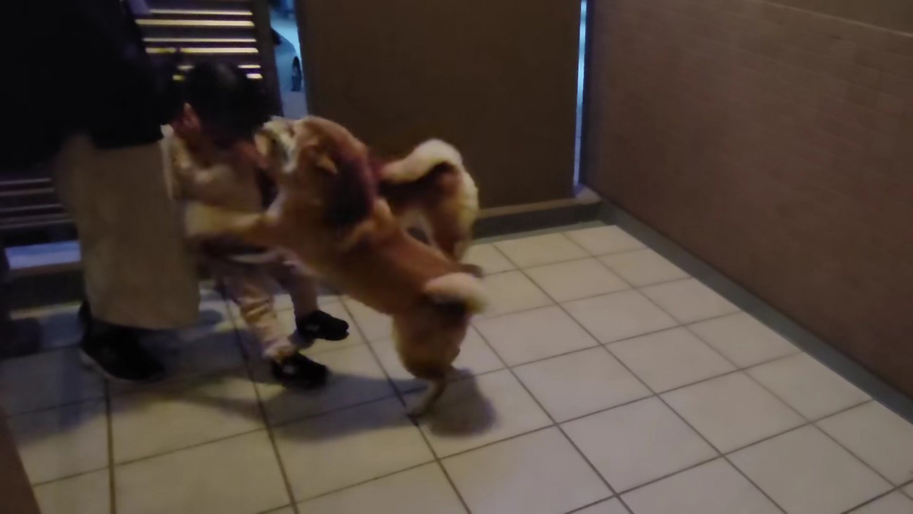 やっと帰ってきた！！