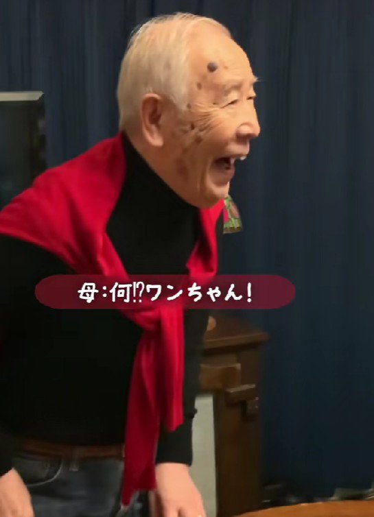 「わんこがいる！！」