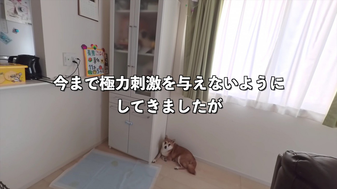 少しずつ慣れて行こう