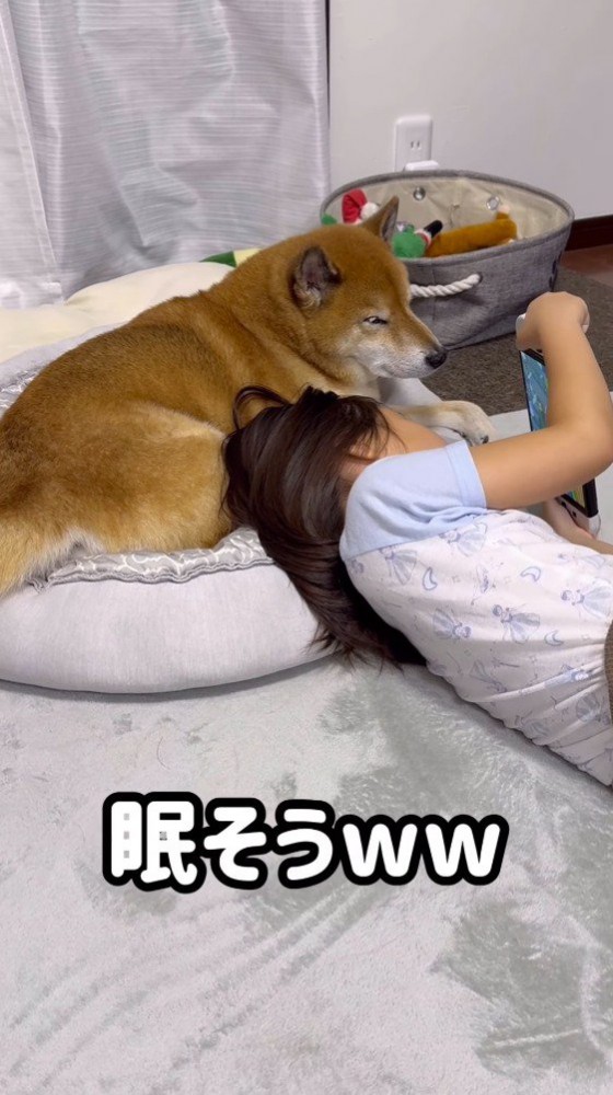 ゲームを見ながら目が閉じていく犬