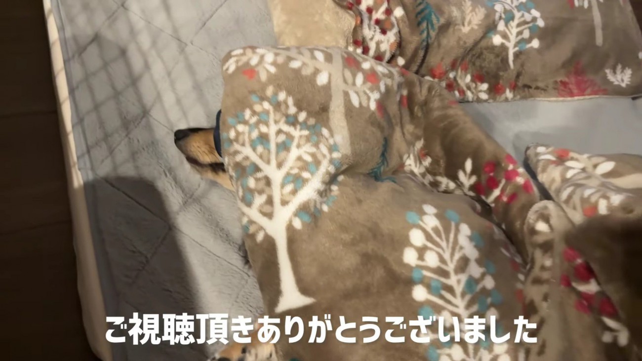 幸せそうな姿が愛おしい