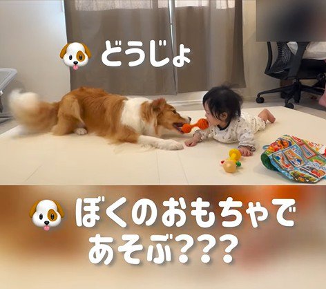 赤ちゃんを遊びに誘うまめ君2