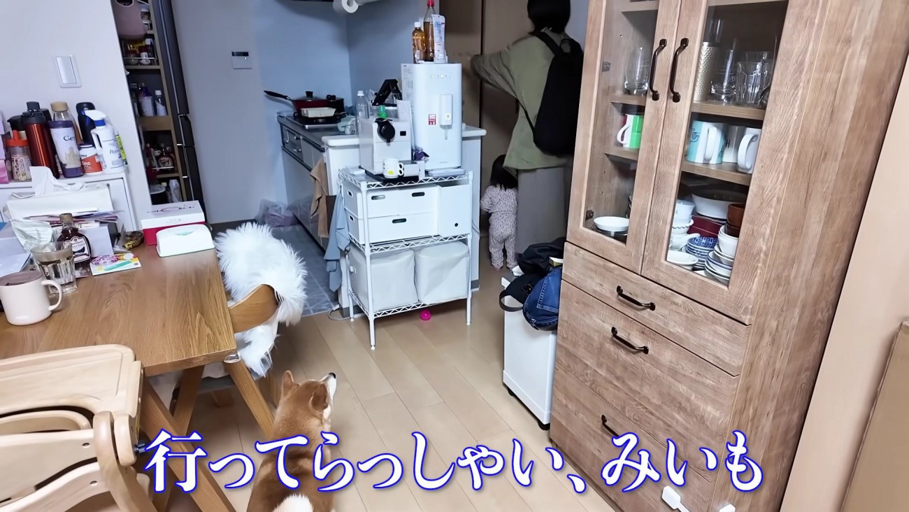 寂しそうなきなこちゃん