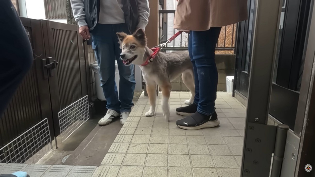 満足そうなお顔で帰宅♪