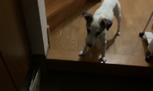 なかなか退院できない