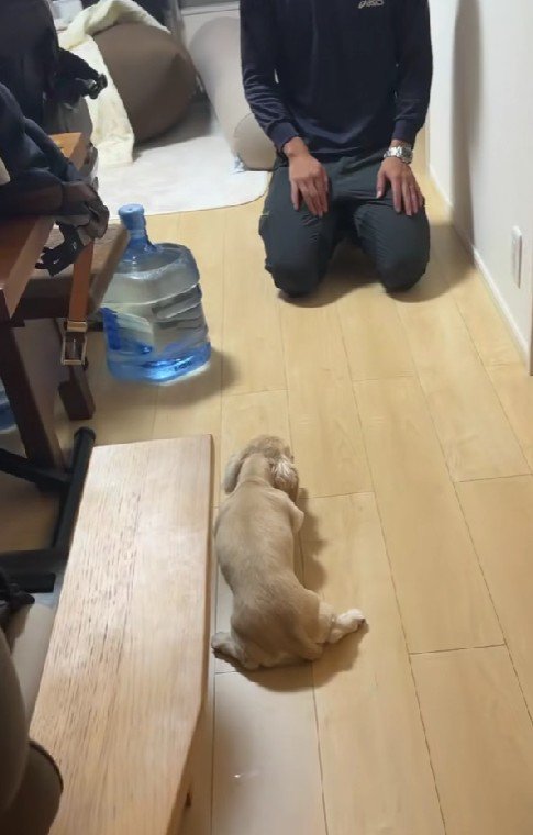 パパに叱られたむうちゃん