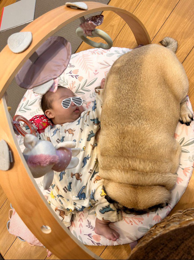 強引に添い寝するもち丸くん