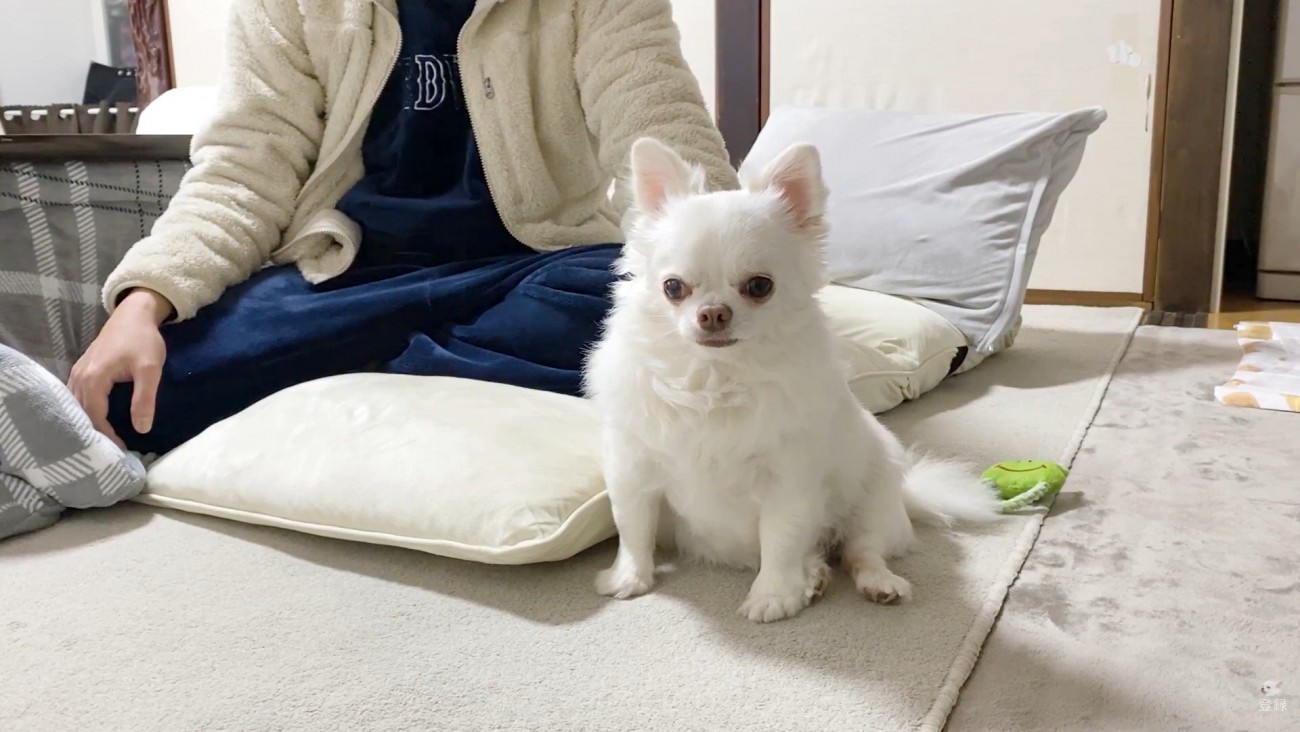 「ママがいないと寂しい…」としょんぼり