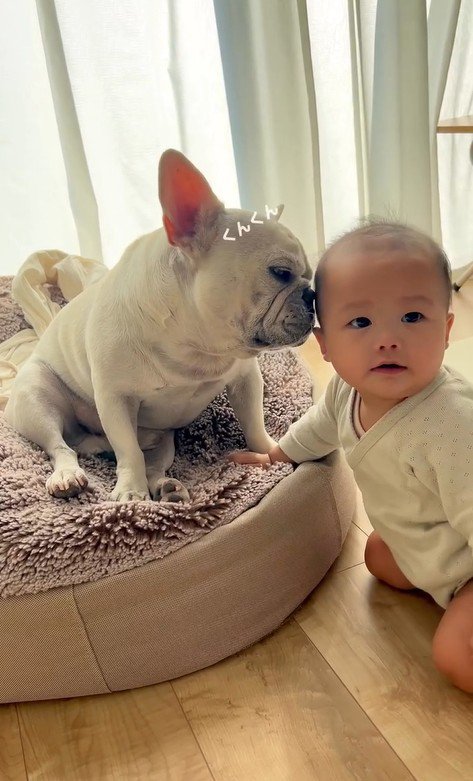 匂いを嗅ぎ始めました♪