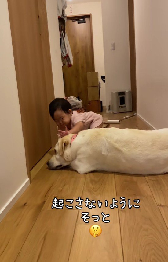 踏まないように…