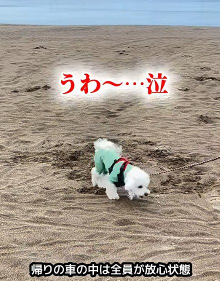 遊び方はいつでも豪快！！