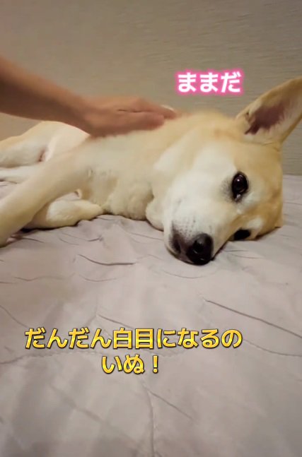 ママの登場