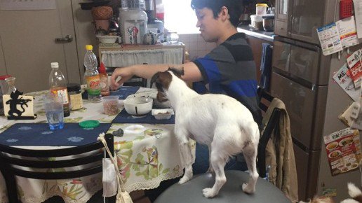 何かに乗ってる？