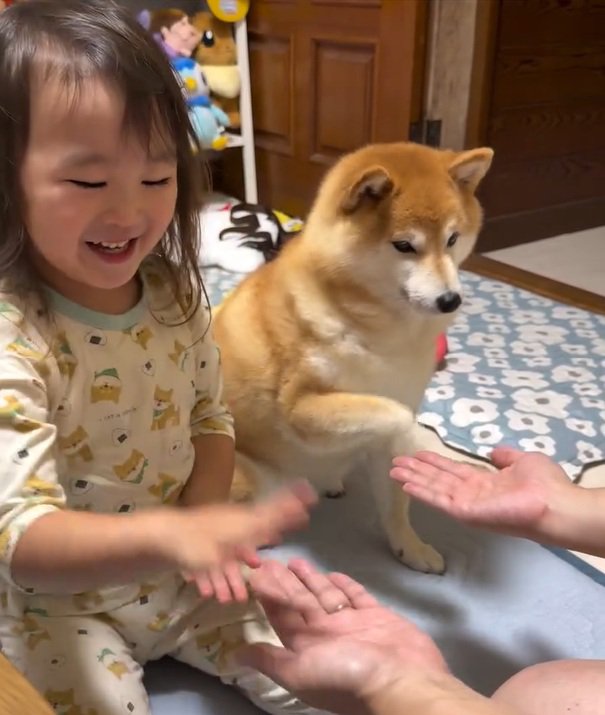 手を上げるすずちゃん