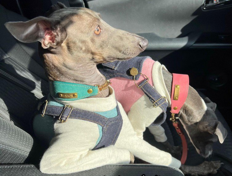 何かになりきり中…