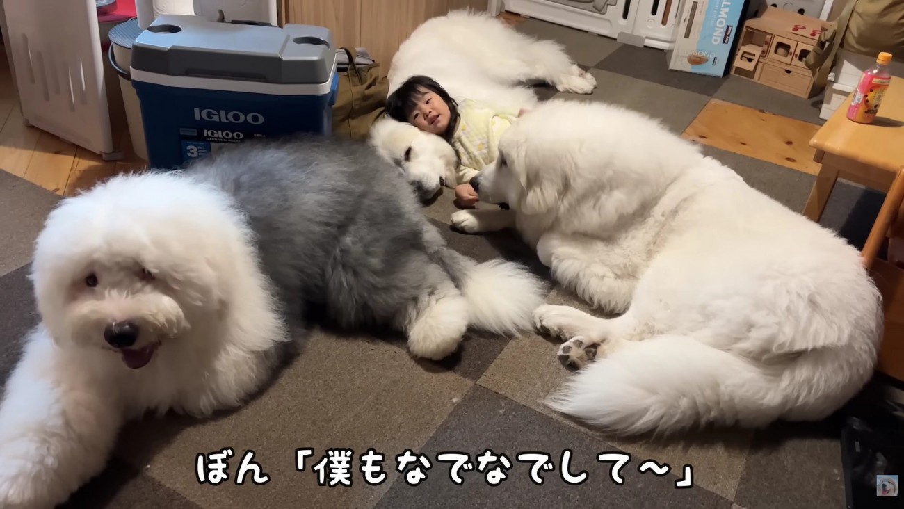 いっぱい集まってきた！！