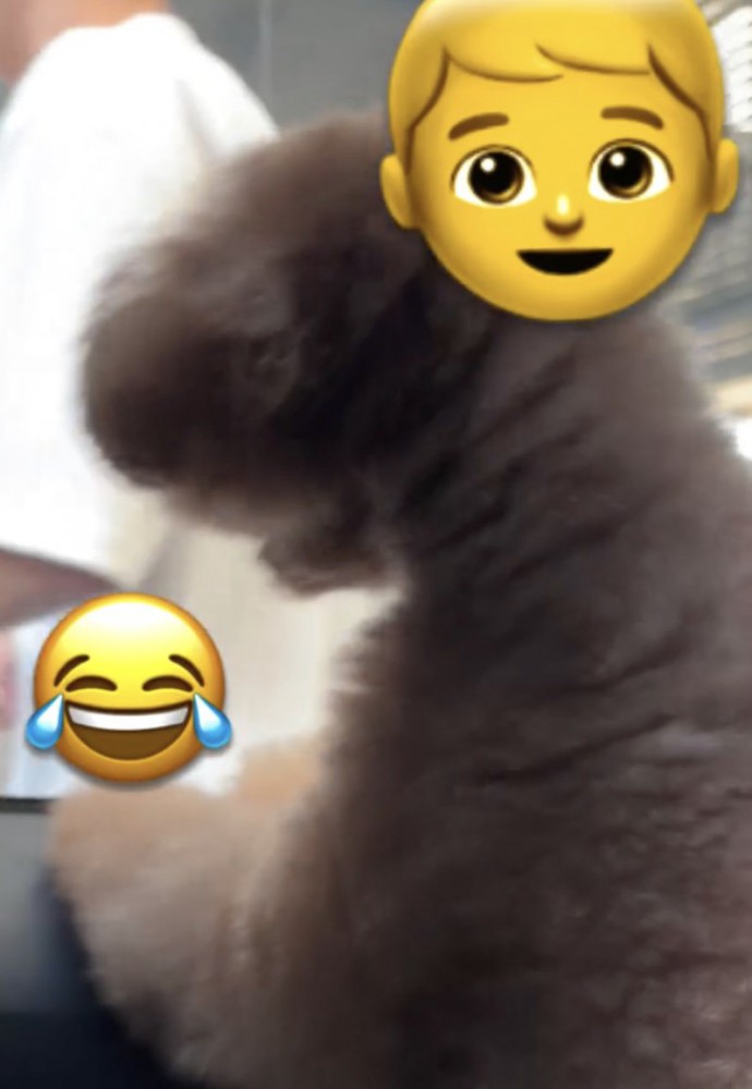 悲痛な声でアピール