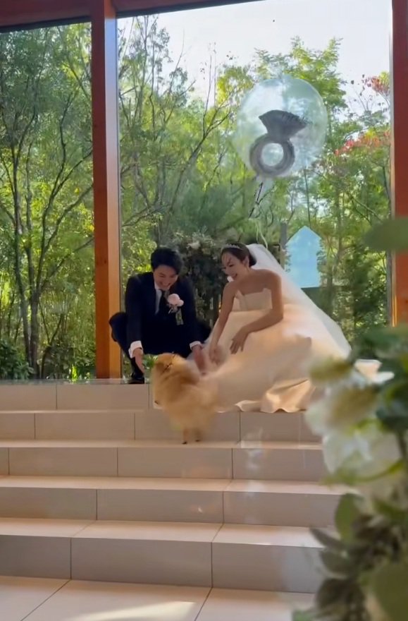 指輪を届けたチャックくん