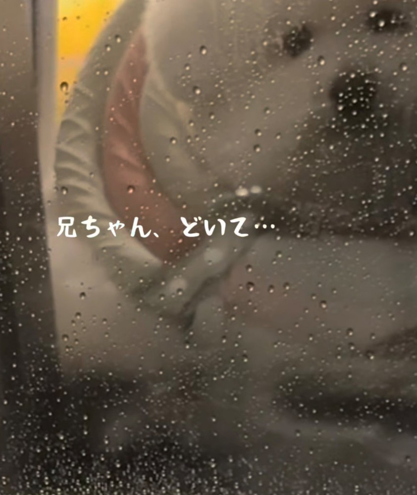 窓にアップで映る犬とすき間から見える犬の顏